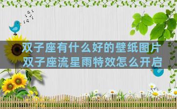 双子座有什么好的壁纸图片 双子座流星雨特效怎么开启